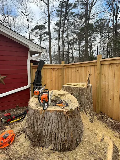 Tree Pruning Service in Villa Rica, Georgia