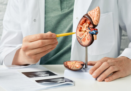 Urologist in Jaipur
