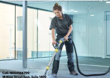 The Truth About Carpet Cleaning and Mold Prevention