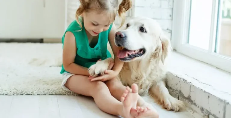 The Heartbeat of Noida’s Pet Community: Best Buddy Life Magazine