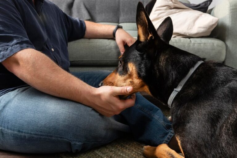 Buy Fenbendazole Tablets for Dogs