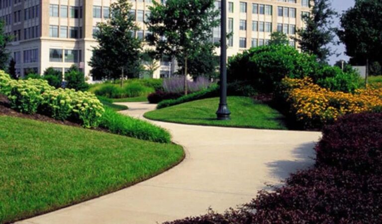 Commercial Landscaping Services in Swindon