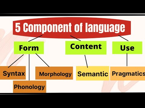 Components of Language