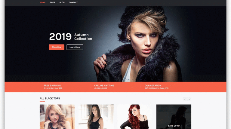 Why Should You Choose a Free Fashion WordPress Theme for Your Blog or Store?