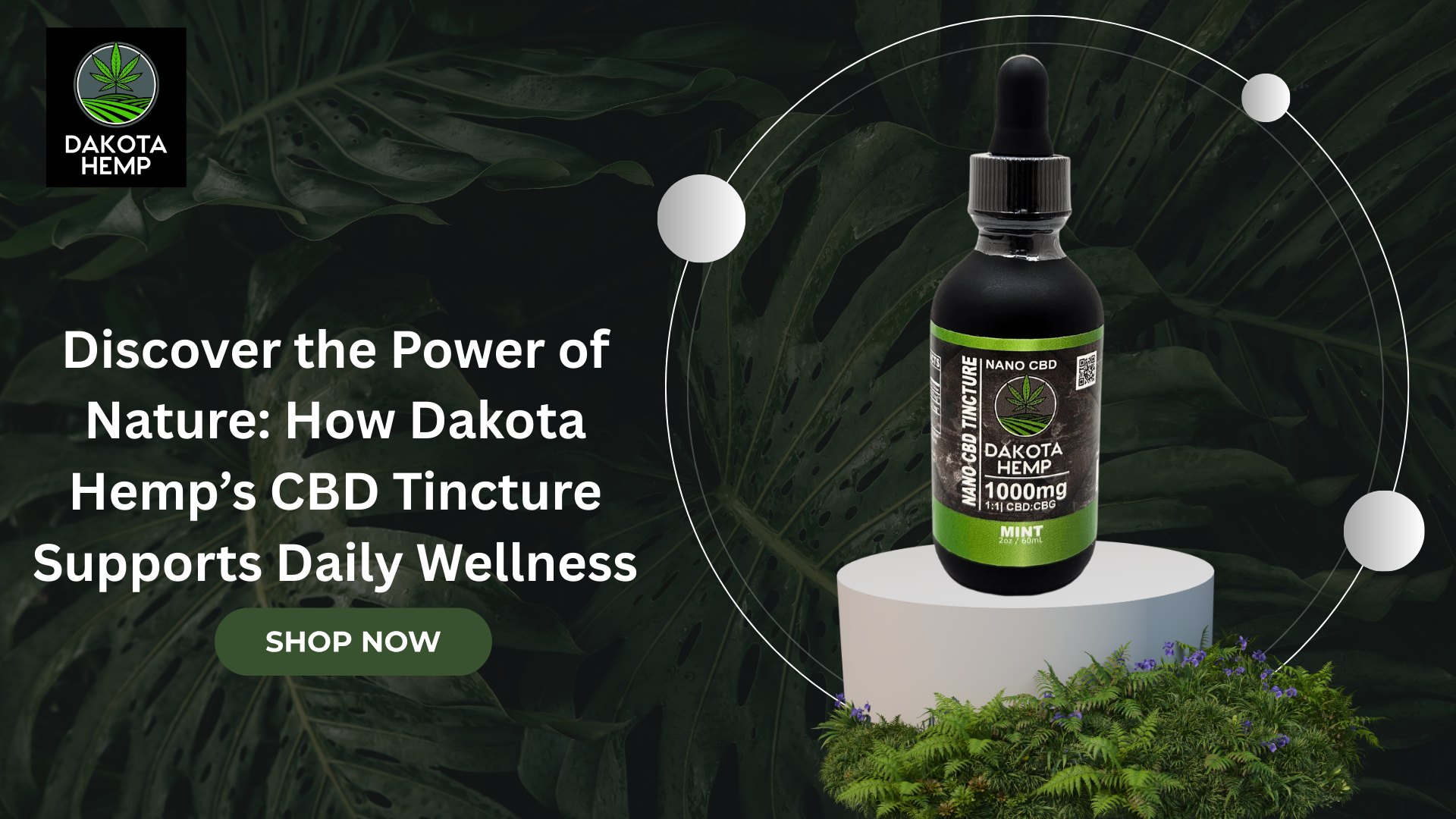 CBD Tincture