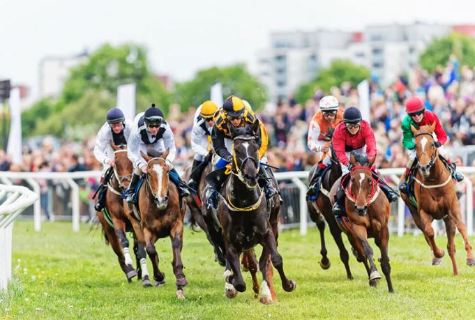 Horse racing tips and tricks