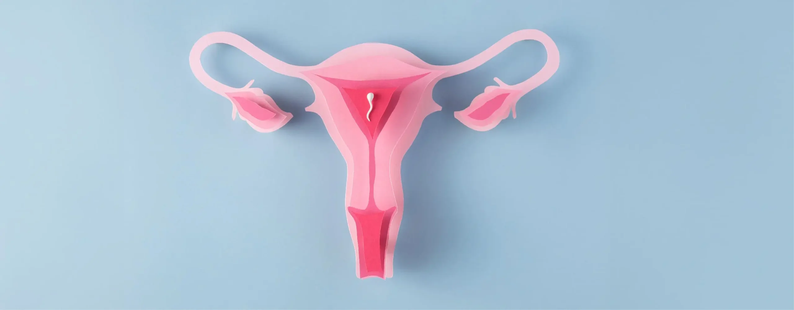 IVF Specialists in Bangalore