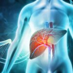 Liver-Function-Test