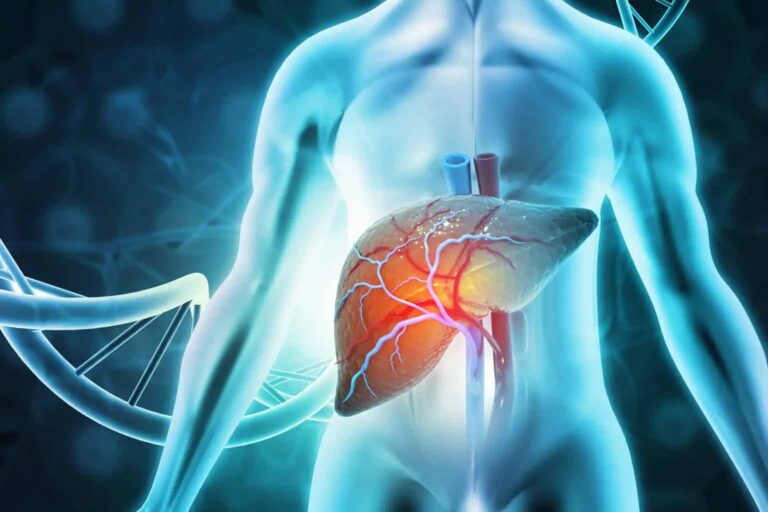 Liver-Function-Test