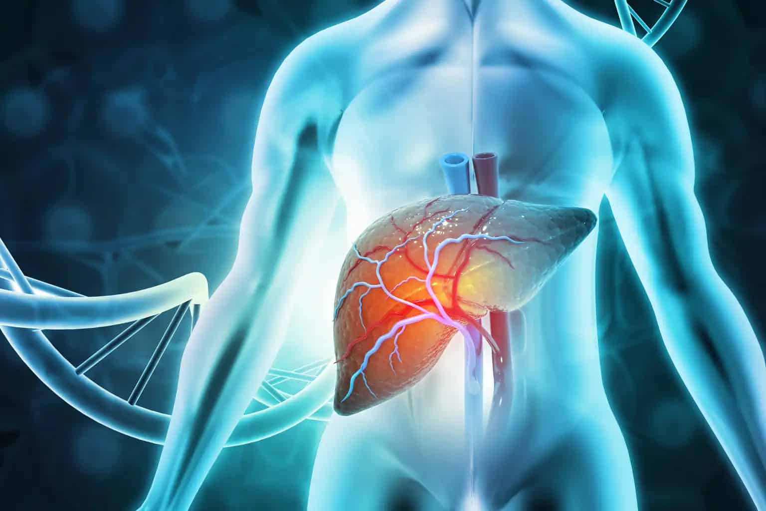 Liver-Function-Test