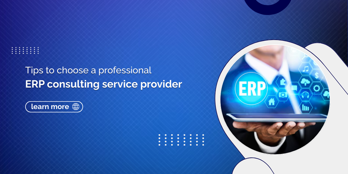 ERP Consulting service provider