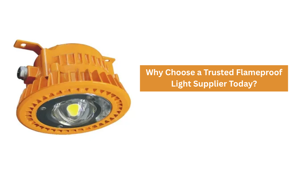 Flameproof light supplier India