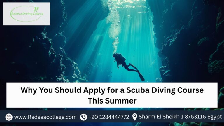 scuba diving course