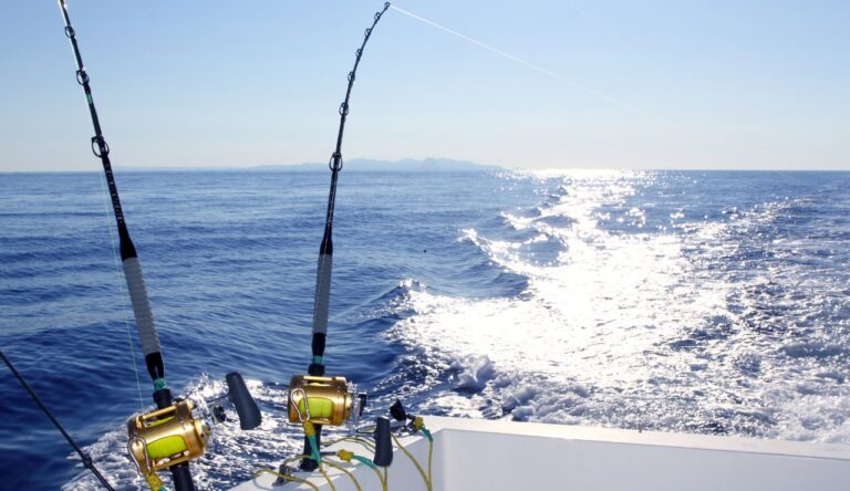 fishing charter miami