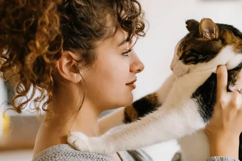cat sitter in new york