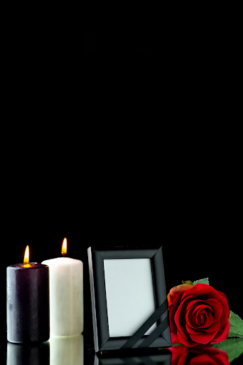 cremation in Tampa
