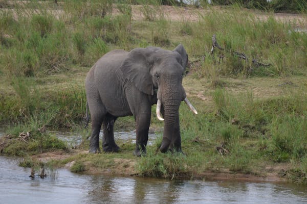 Zania Tour Packages: Explore the Heart of Tanzania’s Island Beauty