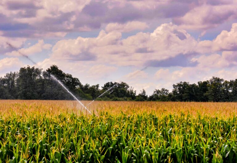 What Are the Top Benefits of Modern Irrigation Tools