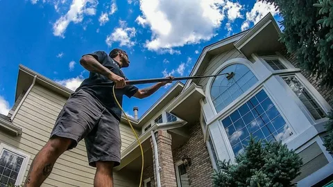 Best Neighbours Windows Cleaning