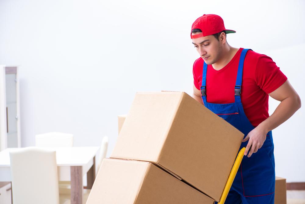 office movers in San Jose