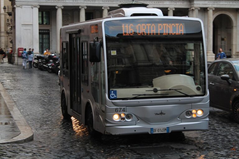 Mini Coach
