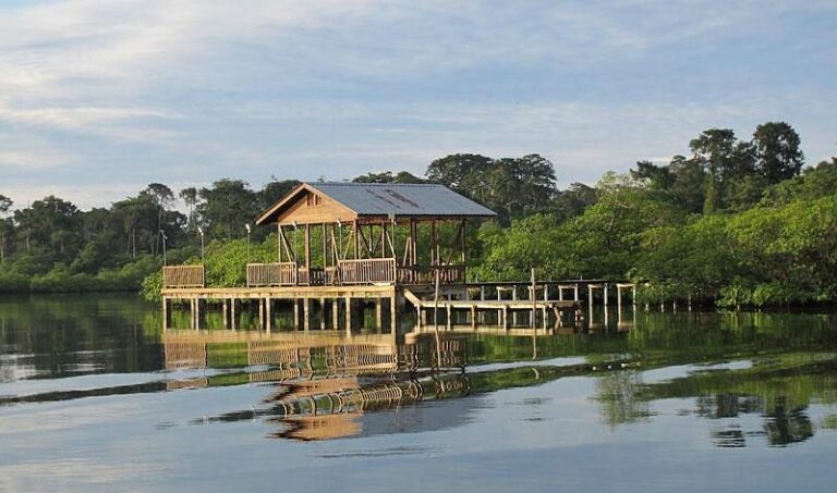 birdwatching panama