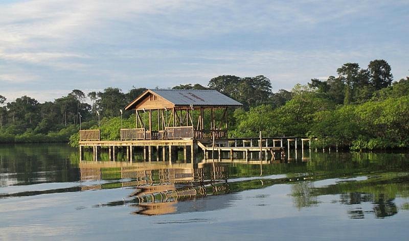 birdwatching panama