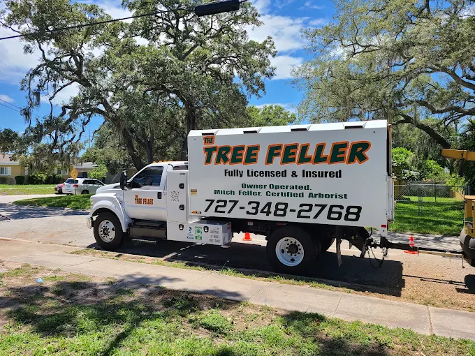 Tree Service in Cheyenne, Wyoming