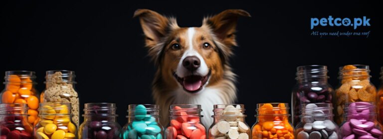 Petco.pk