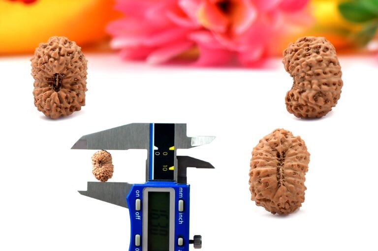 Original Rudraksha vs Fake: How to Identify Authentic Beads