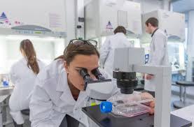 Welche Innovationen bringen Schweizer Pharmaunternehmen auf den Markt?