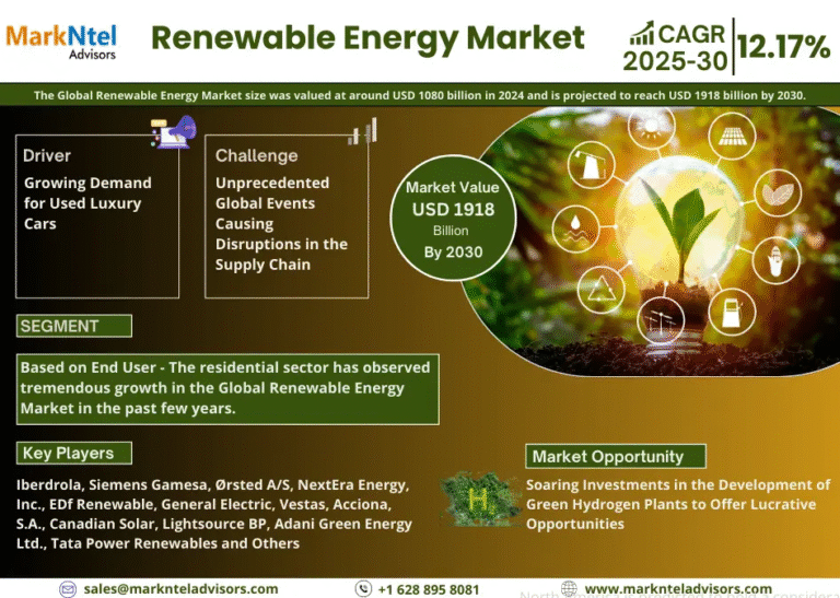 Renewable Energy Market to Witness 12.17% CAGR Growth Amid Rising Demand and Innovation