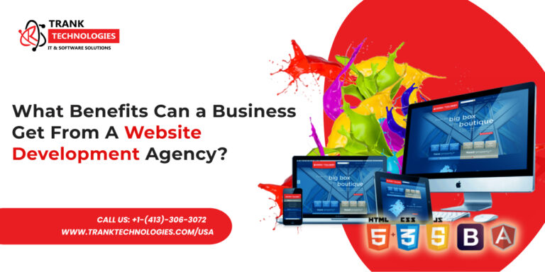 Website Development Agency