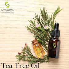 tea tree oil suppliers