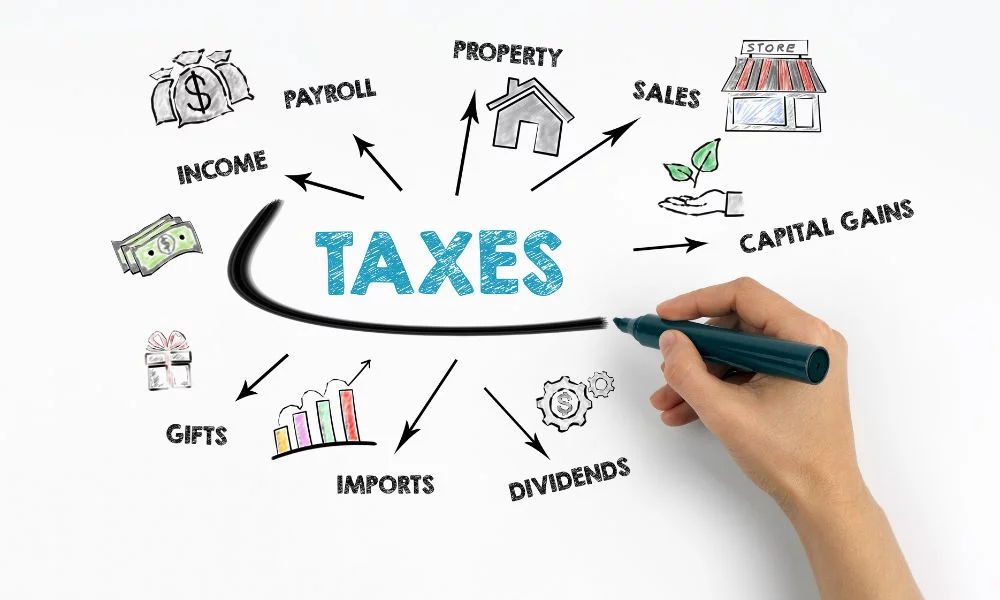 accounting and bookkeeping service for startups