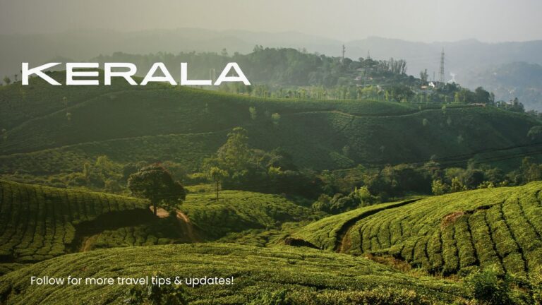 Kerala Tourism Highlights: A Journey Through God's Own Country