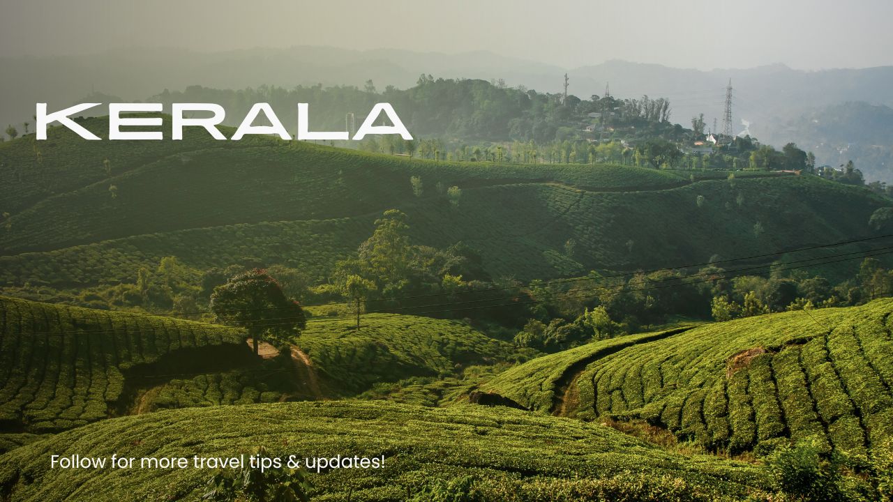 Kerala Tourism Highlights: A Journey Through God's Own Country