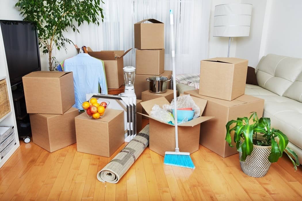 move in & move out cleaners broomfield