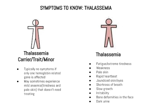 Thalassemia Treatment in India: Advanced Care and Affordable Costs
